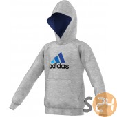 Adidas Pulóver Yb ess l hood M31393